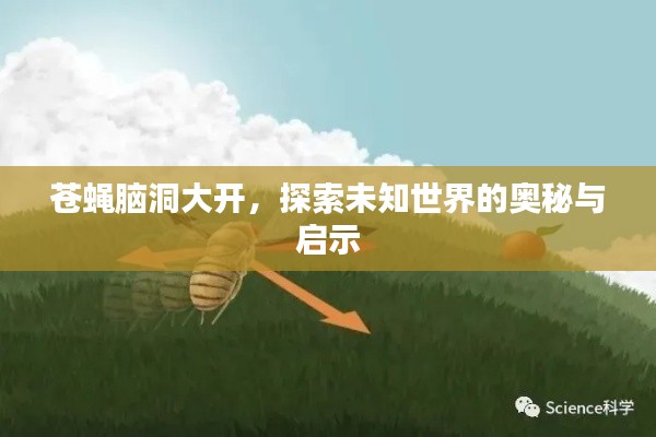 苍蝇脑洞大开，探索未知世界的奥秘与启示