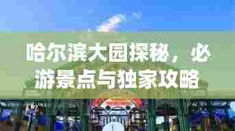 哈尔滨大园探秘,必游景点与独家攻略
