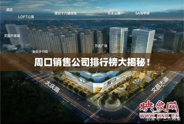 周口销售公司排行榜大揭秘!