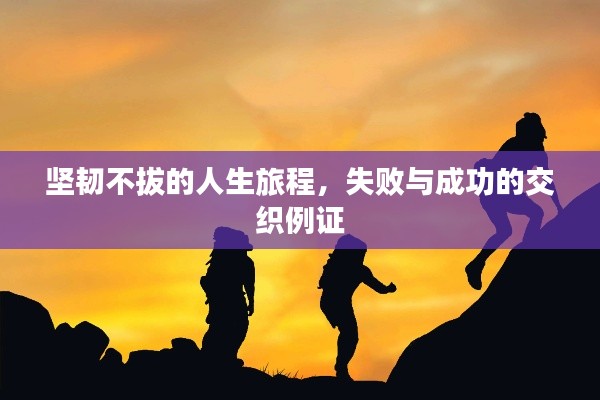 坚韧不拔的人生旅程,失败与成功的交织例证