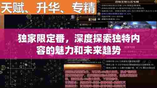 独家限定番,深度探索独特内容的魅力和未来趋势