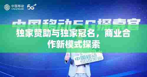 独家赞助与独家冠名，商业合作新模式探索