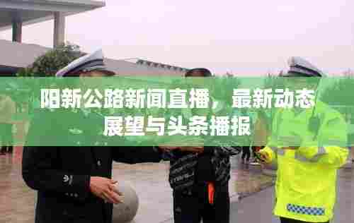 阳新公路新闻直播，最新动态展望与头条播报