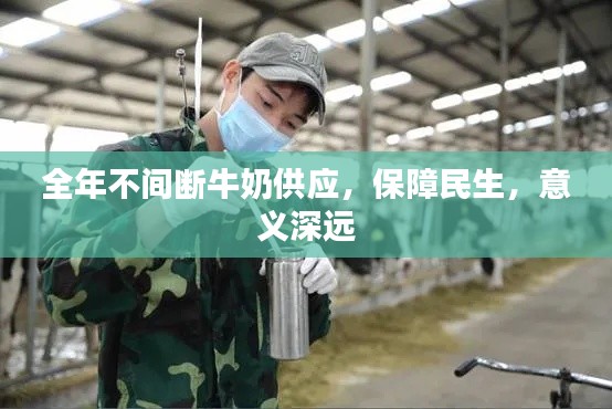 全年不间断牛奶供应,保障民生,意义深远