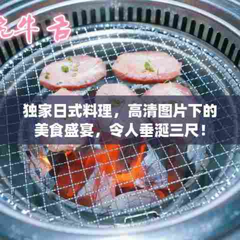 独家日式料理，高清图片下的美食盛宴，令人垂涎三尺！