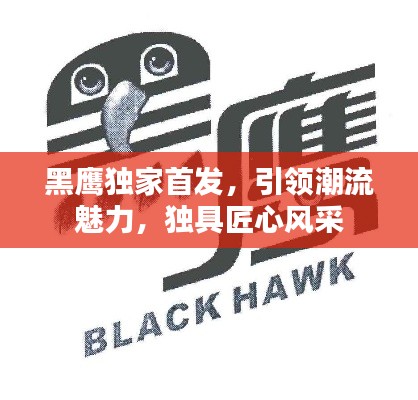 黑鹰独家首发,引领潮流魅力,独具匠心风采