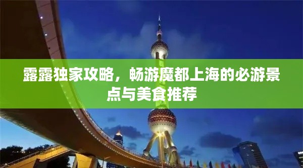 露露独家攻略,畅游魔都上海的必游景点与美食推荐
