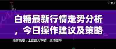 白糖最新行情走势分析，今日操作建议及策略解读