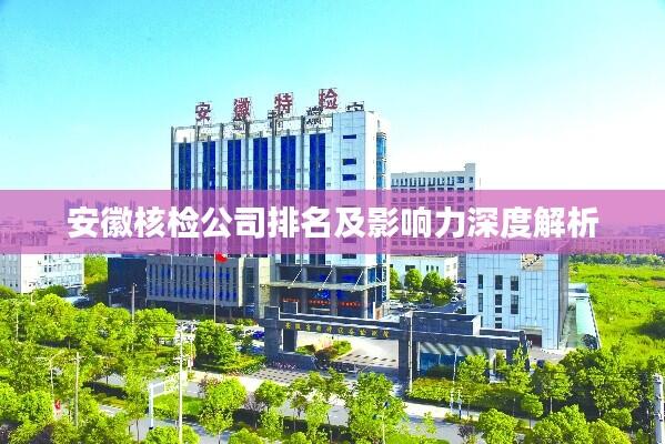 安徽核检公司排名及影响力深度解析