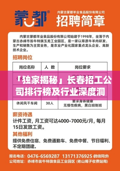 「独家揭秘」长春招工公司排行榜及行业深度洞察