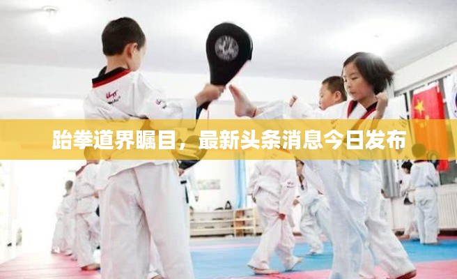 跆拳道界瞩目,最新头条消息今日发布