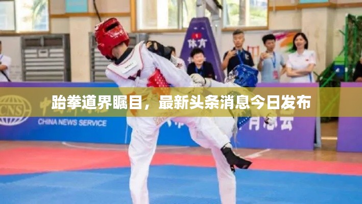 跆拳道界瞩目,最新头条消息今日发布