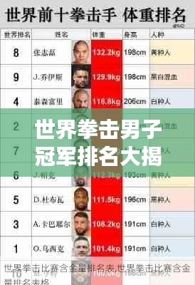 世界拳击男子冠军排名大揭秘!