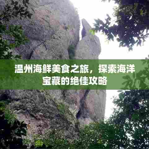 温州海鲜美食之旅,探索海洋宝藏的绝佳攻略