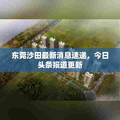 东莞沙田最新消息速递，今日头条报道更新