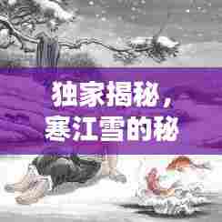 独家揭秘,寒江雪的秘密世界