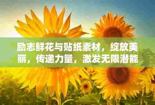 励志鲜花与贴纸素材，绽放美丽，传递力量，激发无限潜能