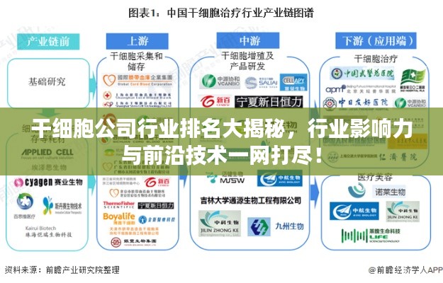 干细胞公司行业排名大揭秘，行业影响力与前沿技术一网打尽！