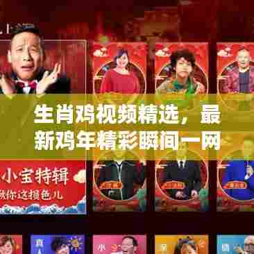 生肖鸡视频精选,最新鸡年精彩瞬间一网打尽