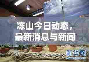 冻山今日动态,最新消息与新闻报道一网打尽