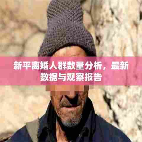 新平离婚人群数量分析，最新数据与观察报告