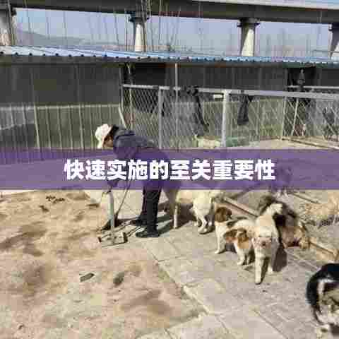 快速实施的至关重要性