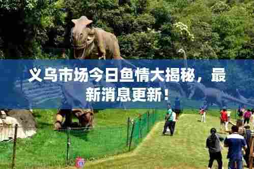 义乌市场今日鱼情大揭秘,最新消息更新!