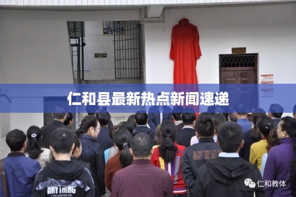 仁和县最新热点新闻速递