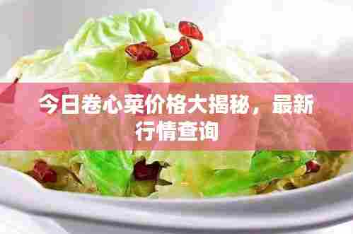 今日卷心菜价格大揭秘,最新行情查询