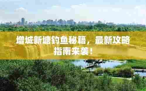 增城新塘钓鱼秘籍,最新攻略指南来袭!