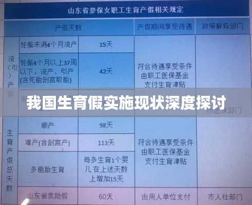 我国生育假实施现状深度探讨