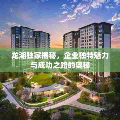 龙湖独家揭秘，企业独特魅力与成功之路的奥秘