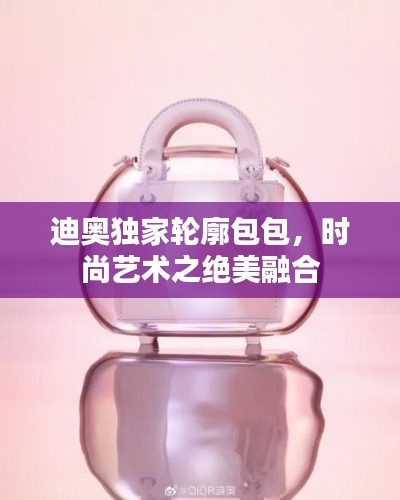 迪奥独家轮廓包包,时尚艺术之绝美融合