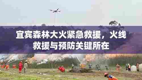 宜宾森林大火紧急救援,火线救援与预防关键所在
