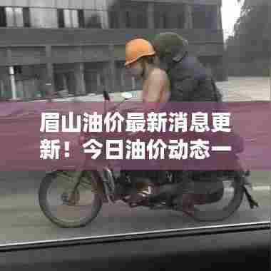 眉山油价最新消息更新!今日油价动态一网打尽