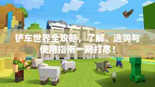 铲车世界全攻略，了解、选购与使用指南一网打尽！