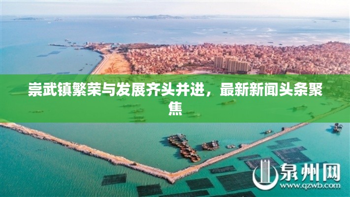 崇武镇繁荣与发展齐头并进,最新新闻头条聚焦