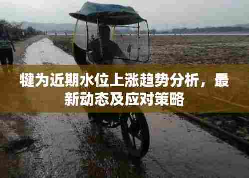 犍为近期水位上涨趋势分析,最新动态及应对策略