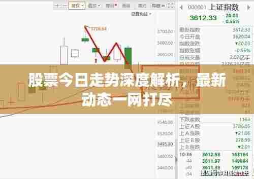 股票今日走势深度解析,最新动态一网打尽