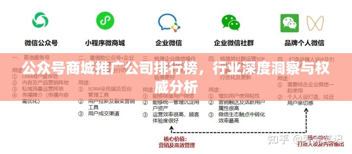 公众号商城推广公司排行榜,行业深度洞察与权威分析