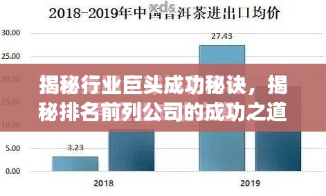 揭秘行业巨头成功秘诀，揭秘排名前列公司的成功之道
