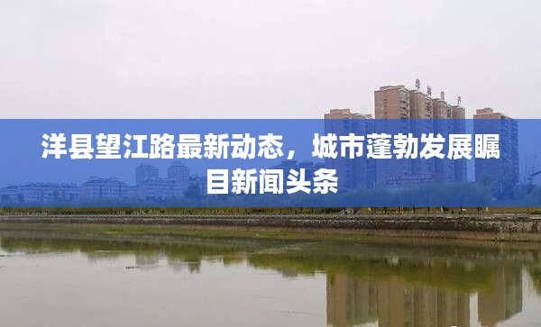 洋县望江路最新动态,城市蓬勃发展瞩目新闻头条