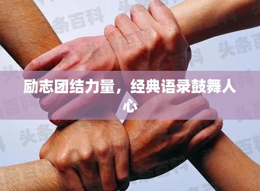 励志团结力量,经典语录鼓舞人心