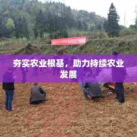 夯实农业根基,助力持续农业发展