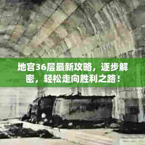 地宫36层最新攻略，逐步解密，轻松走向胜利之路！