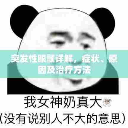 突发性眼颤详解，症状、原因及治疗方法