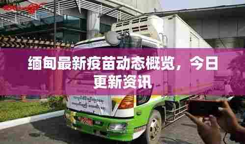 缅甸最新疫苗动态概览，今日更新资讯