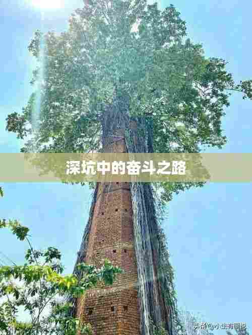 深坑中的奋斗之路