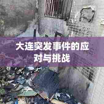 大连突发事件的应对与挑战