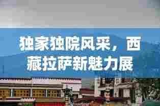 独家独院风采,西藏拉萨新魅力展现
